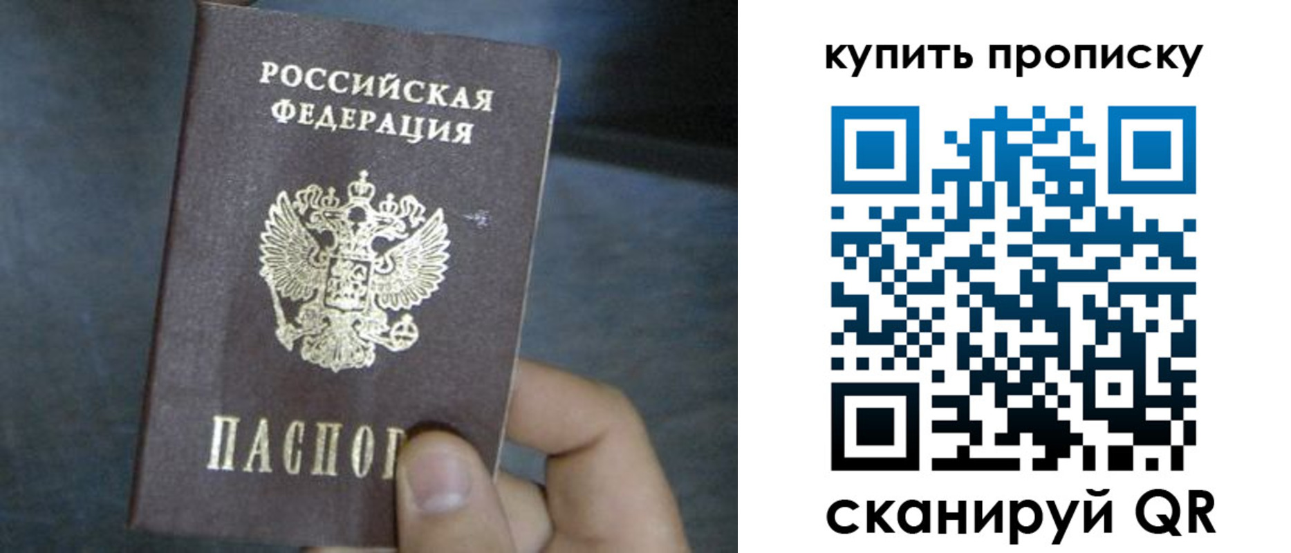 прописка гарантия в Туле